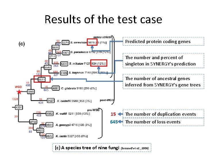 Results of the test case Predicted protein coding genes The number and percent of