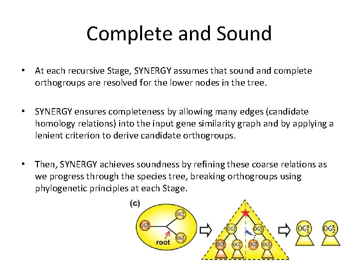 Complete and Sound • At each recursive Stage, SYNERGY assumes that sound and complete