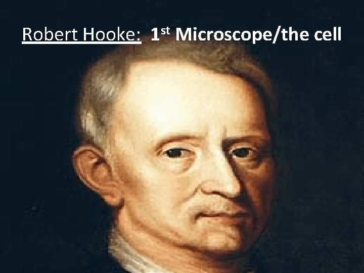 Robert Hooke: 1 st Microscope/the cell 