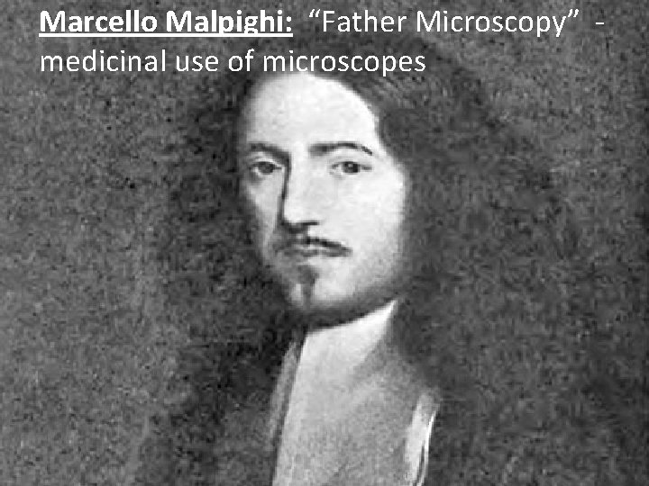 Marcello Malpighi: “Father Microscopy” medicinal use of microscopes 