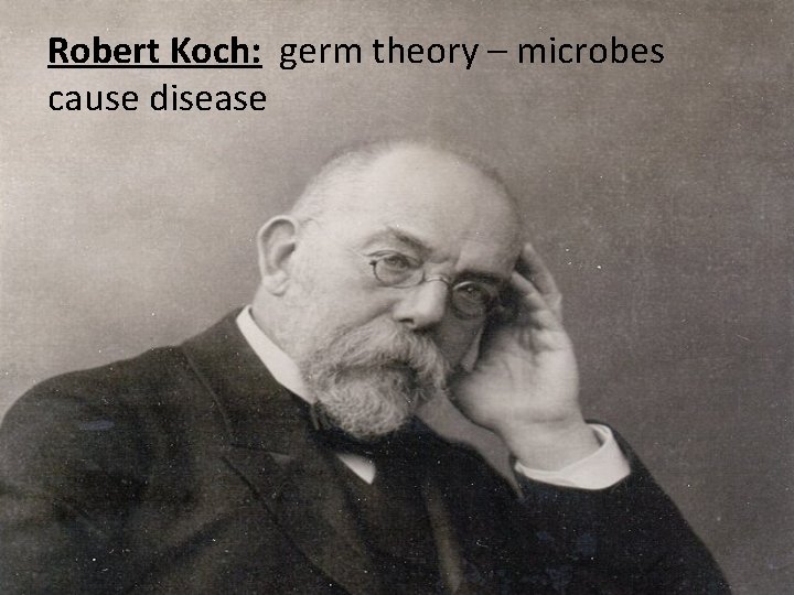Robert Koch: germ theory – microbes cause disease 