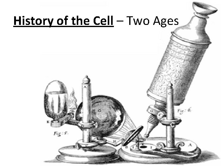 History of the Cell – Two Ages 