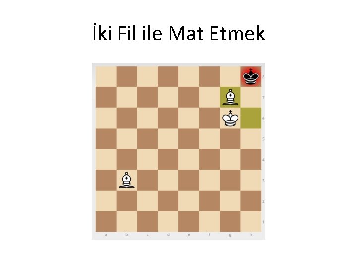İki Fil ile Mat Etmek İki Fil ile Mat Etmek