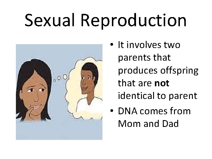 Sexual Reproduction • It involves two parents that produces offspring that are not identical
