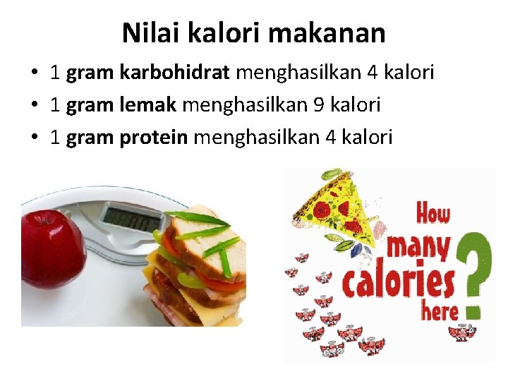 Perhitungan Nilai Kalori Makanan Dapat Menghasilkan Energi Bahan