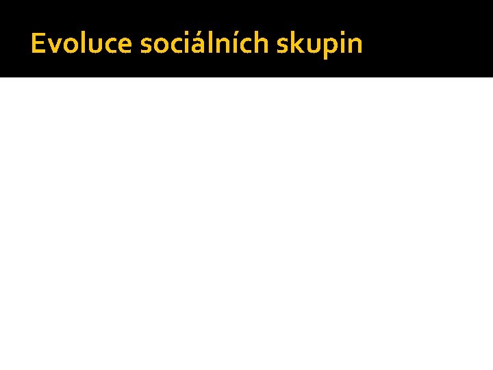 Evoluce sociálních skupin 