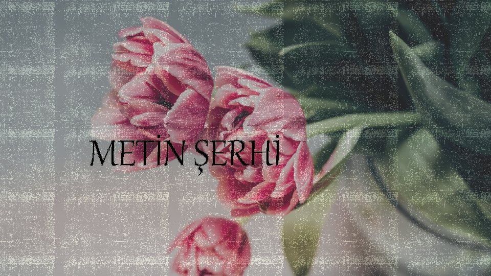 METİN ŞERHİ 