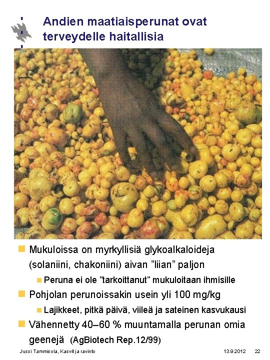 Andien maatiaisperunat ovat terveydelle haitallisia n Mukuloissa on myrkyllisiä glykoalkaloideja (solaniini, chakoniini) aivan ”liian”