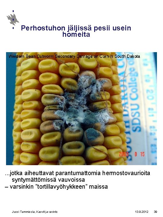 Perhostuhon jäljissä pesii usein homeita . . . jotka aiheuttavat parantumattomia hermostovaurioita syntymättömissä vauvoissa