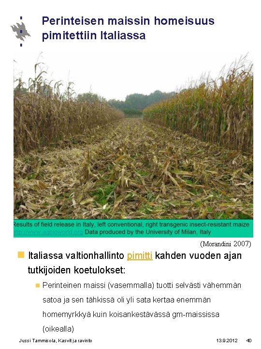 Perinteisen maissin homeisuus pimitettiin Italiassa (Morandini 2007) n Italiassa valtionhallinto pimitti kahden vuoden ajan