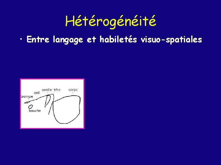 Hétérogénéité • Entre langage et habiletés visuo-spatiales 