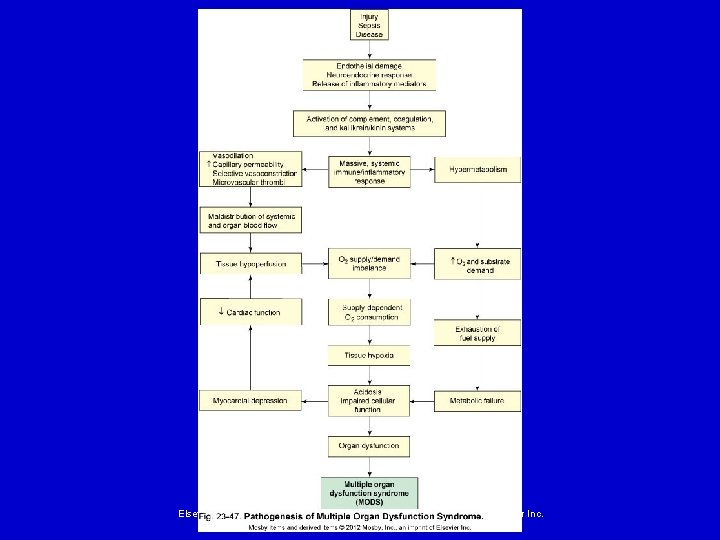 Elsevier items and derived items © 2008 by Mosby, Inc. , an affiliate of Elsevier items and derived items © 2008 by Mosby, Inc. , an affiliate of