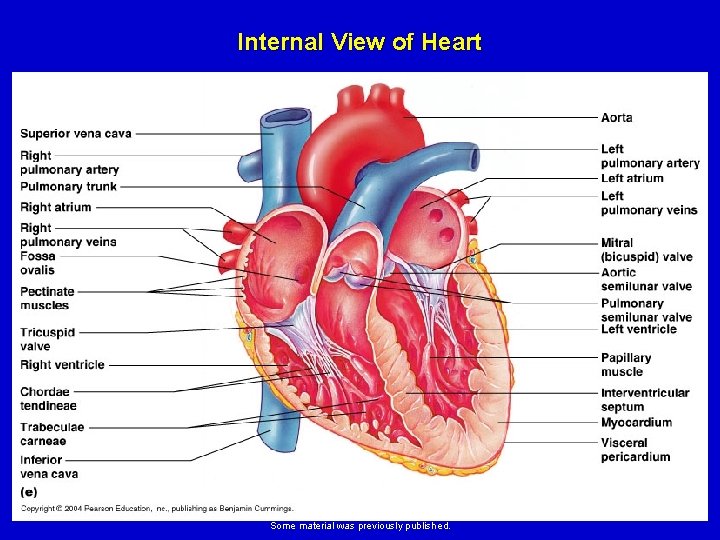 Internal View of Heart Elsevier items and derived items © 2008 by Mosby, Inc. Internal View of Heart Elsevier items and derived items © 2008 by Mosby, Inc.