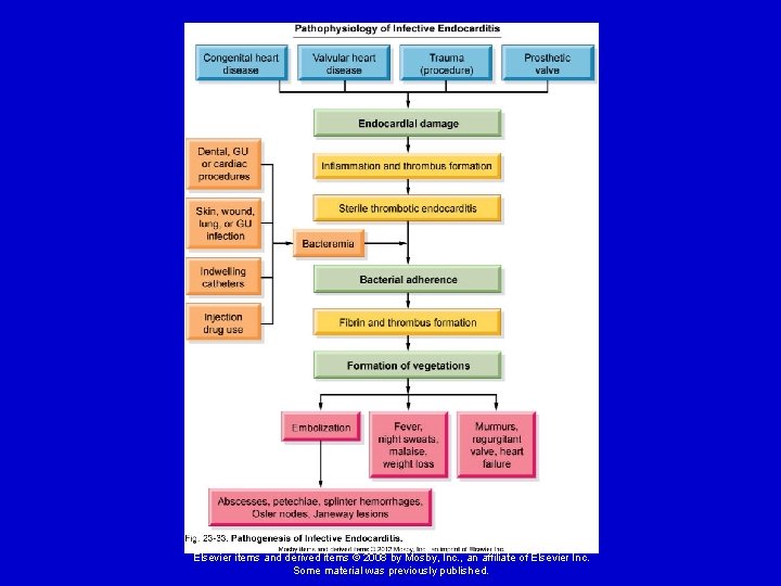 Elsevier items and derived items © 2008 by Mosby, Inc. , an affiliate of Elsevier items and derived items © 2008 by Mosby, Inc. , an affiliate of