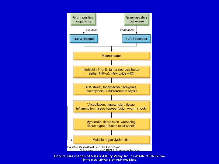 Elsevier items and derived items © 2008 by Mosby, Inc. , an affiliate of Elsevier items and derived items © 2008 by Mosby, Inc. , an affiliate of