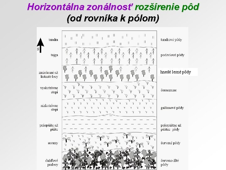 Horizontálna zonálnosť rozšírenie pôd (od rovníka k pólom) hnedé lesné pôdy 