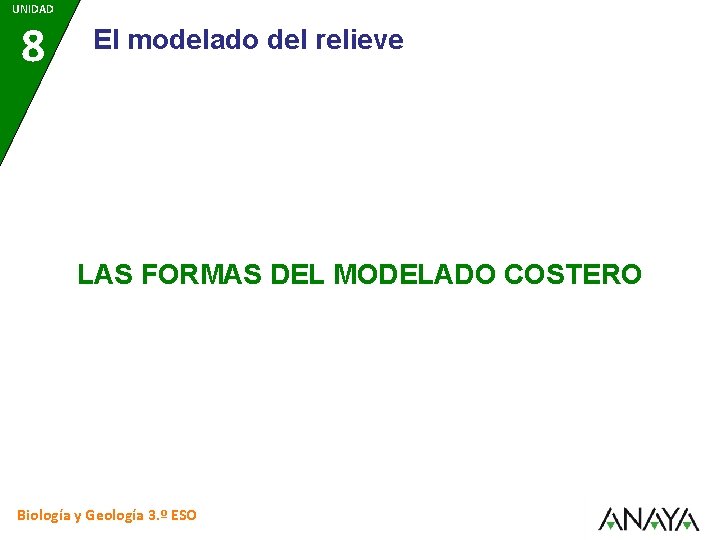 UNIDAD 8 El modelado del relieve LAS FORMAS DEL MODELADO COSTERO Biología y Geología