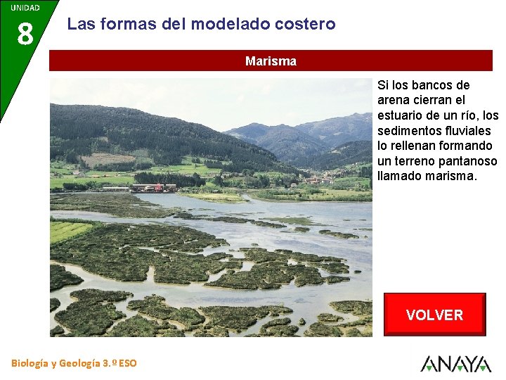 UNIDAD 8 Las formas del modelado costero Marisma Si los bancos de arena cierran