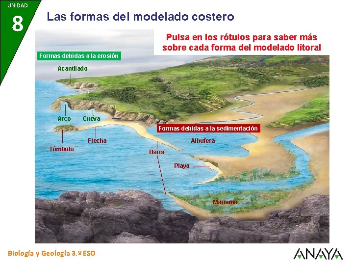 UNIDAD 8 Las formas del modelado costero Pulsa en los rótulos para saber más