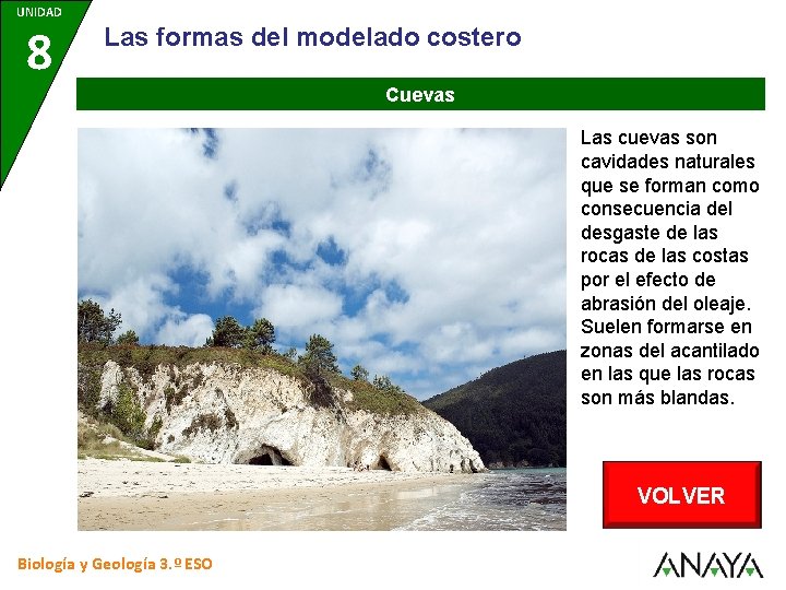 UNIDAD 8 Las formas del modelado costero Cuevas Las cuevas son cavidades naturales que