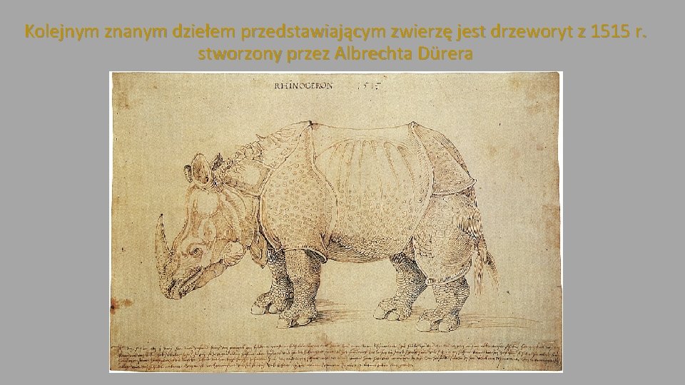 Kolejnym znanym dziełem przedstawiającym zwierzę jest drzeworyt z 1515 r. stworzony przez Albrechta Dürera
