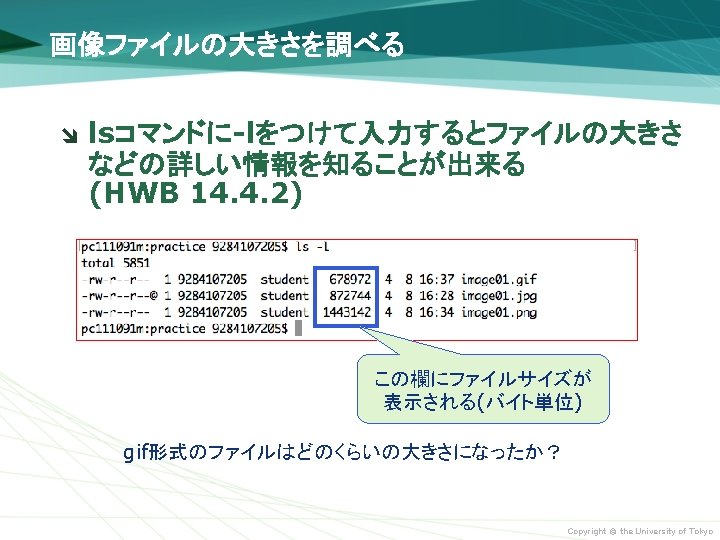 Copyright The University Of Tokyo 1 Practice Hwb