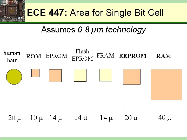 ECE 447: Area for Single Bit Cell Assumes 0. 8 µm technology Flash human