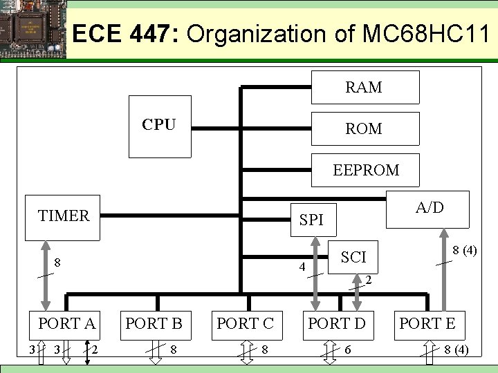 ECE 447: Organization of MC 68 HC 11 RAM CPU ROM EEPROM TIMER SPI