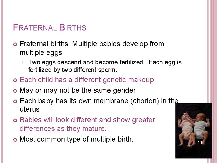 FRATERNAL BIRTHS Fraternal births: Multiple babies develop from multiple eggs. � Two eggs descend