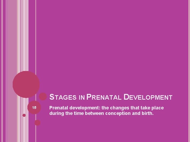 STAGES IN PRENATAL DEVELOPMENT 15 Prenatal development: the changes that take place during the