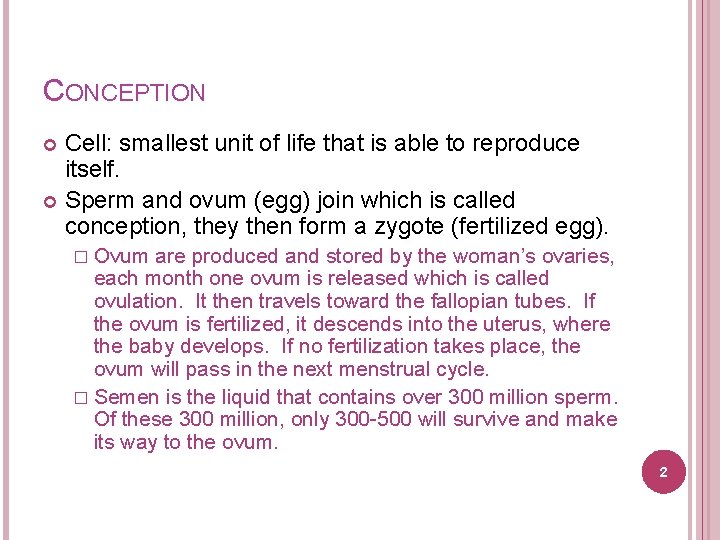 CONCEPTION Cell: smallest unit of life that is able to reproduce itself. Sperm and