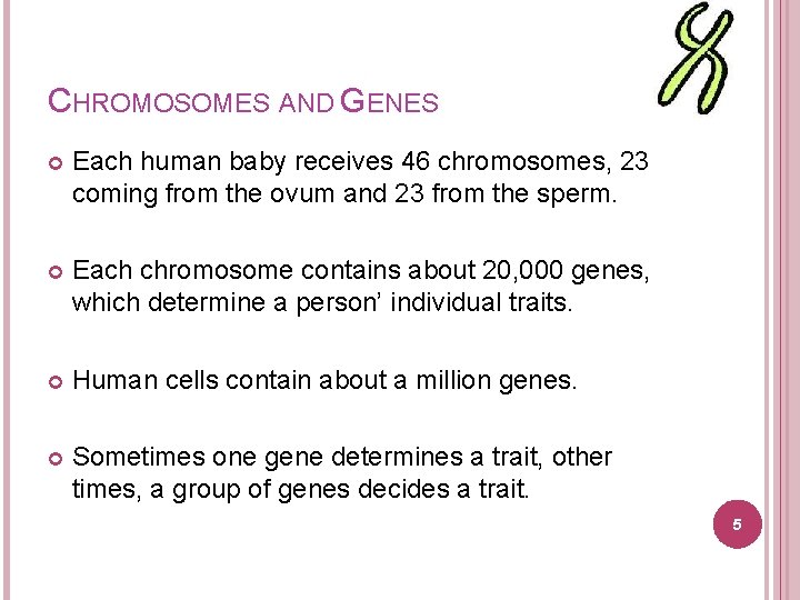 CHROMOSOMES AND GENES Each human baby receives 46 chromosomes, 23 coming from the ovum