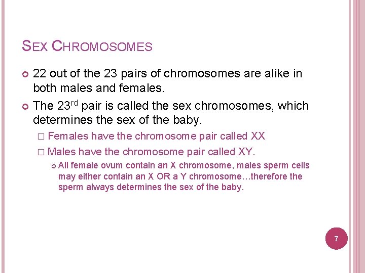 SEX CHROMOSOMES 22 out of the 23 pairs of chromosomes are alike in both