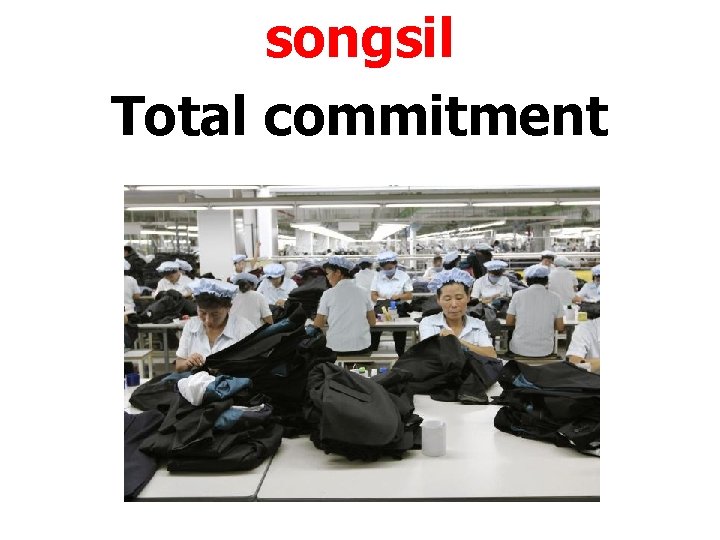 songsil Total commitment 