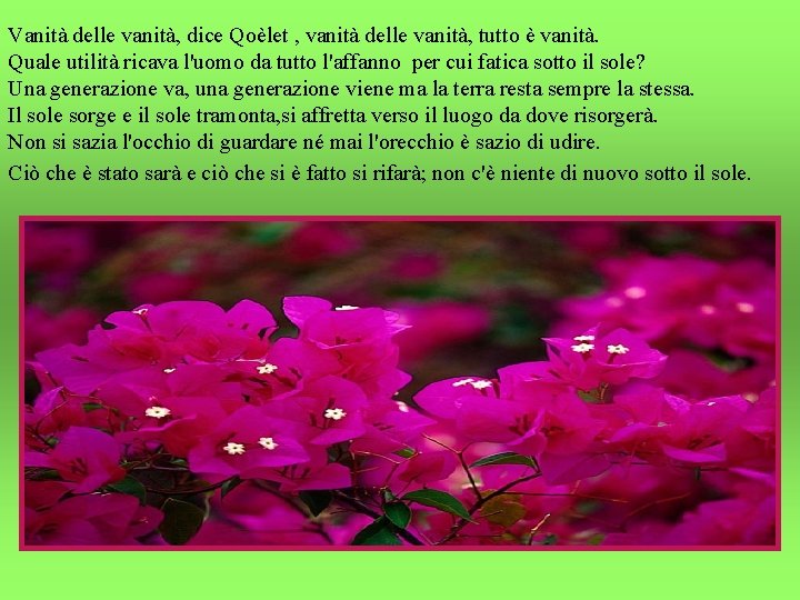 Vanità delle vanità, dice Qoèlet , vanità delle vanità, tutto è vanità. Quale utilità