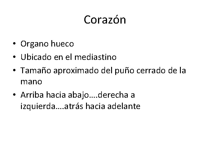 Corazón • Organo hueco • Ubicado en el mediastino • Tamaño aproximado del puño