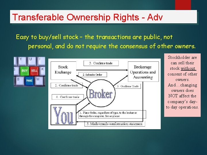 Transferable Ownership Rights - Adv Easy to buy/sell stock – the transactions are public,