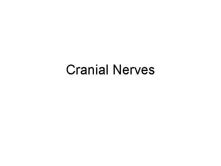 Cranial Nerves 