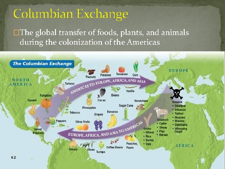 Columbian Exchange �The global transfer of foods, plants, and animals during the colonization of