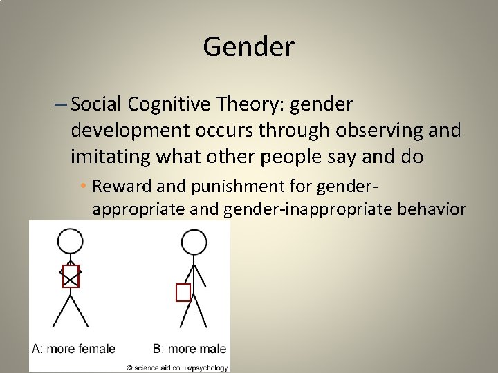 Social Cognitive Theory Of Gender Development 2025