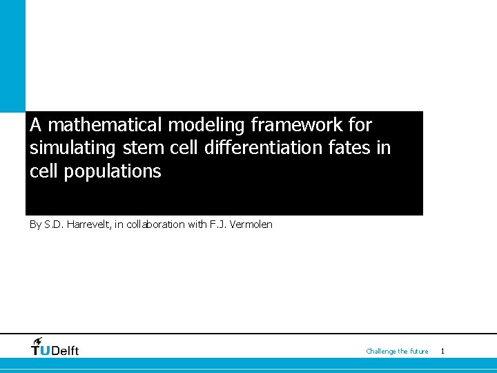 A mathematical modeling framework for simulating stem cell differentiation fates in cell populations By