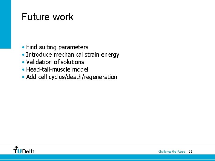 Future work • Find suiting parameters • Introduce mechanical strain energy • Validation of