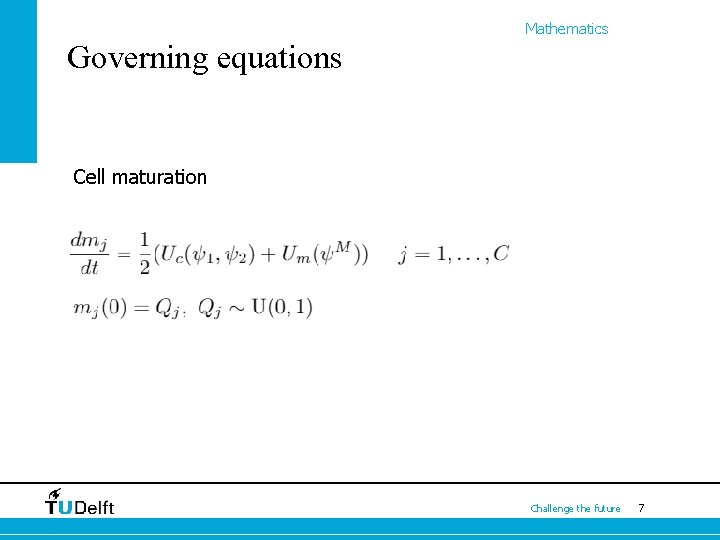 Mathematics Governing equations Cell maturation Challenge the future 7 