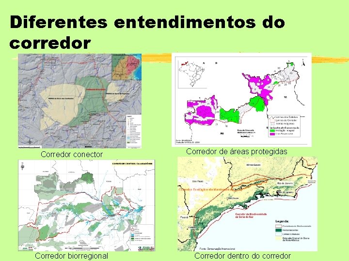 Diferentes entendimentos do corredor Corredor conector Corredor biorregional Corredor de áreas protegidas Corredor dentro