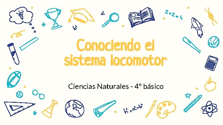 Conociendo el sistema locomotor Ciencias Naturales - 4º básico 