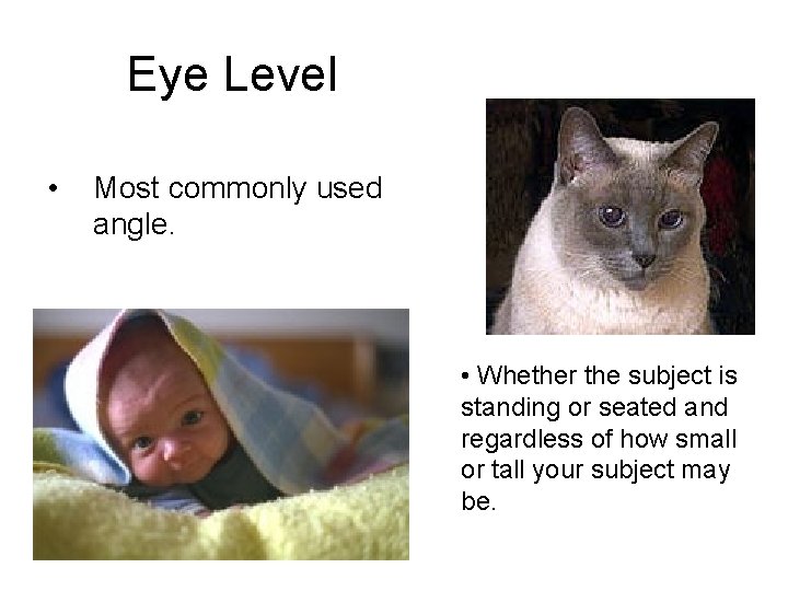 Eye Level • Most commonly used angle. • Whether the subject is standing or