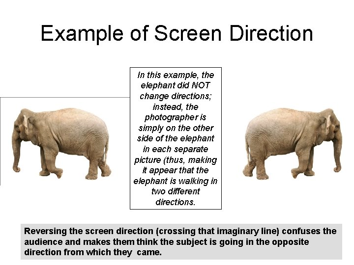 Example of Screen Direction In this example, the elephant did NOT change directions; instead,