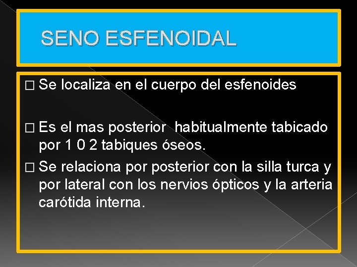 SENO ESFENOIDAL � Se � Es localiza en el cuerpo del esfenoides el mas