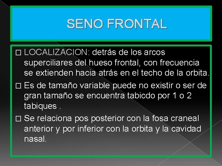 SENO FRONTAL LOCALIZACION: detrás de los arcos superciliares del hueso frontal, con frecuencia se