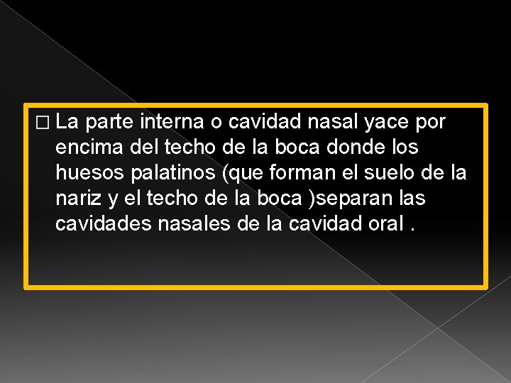 � La parte interna o cavidad nasal yace por encima del techo de la